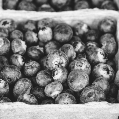 blueberries, greyscale