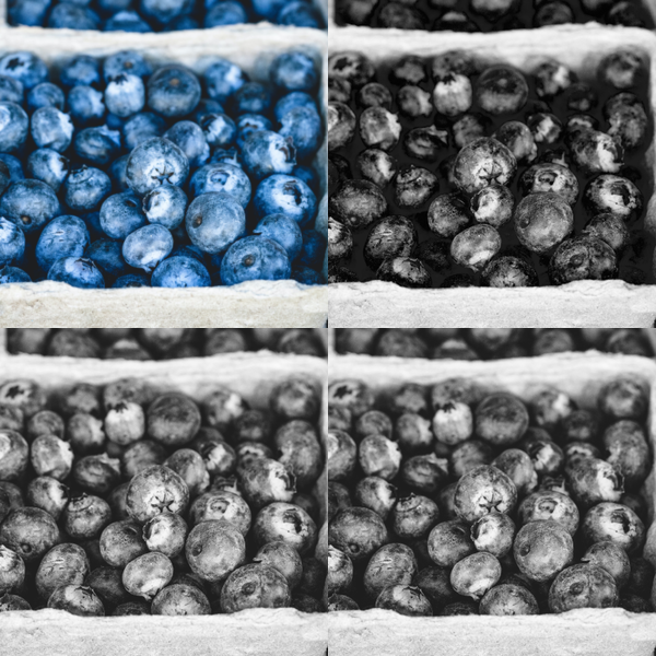 blueberries montage